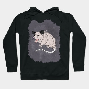 Cute Cat :3 Hoodie